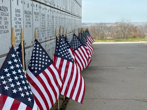 Veterans Day is Coming
