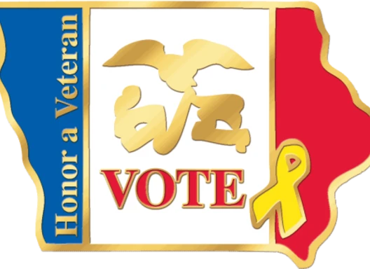 Veterans for Voting pin