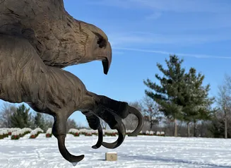 Eagle Statue at Iowa Veterans Cemetery
