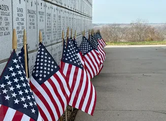 Veterans Day is Coming